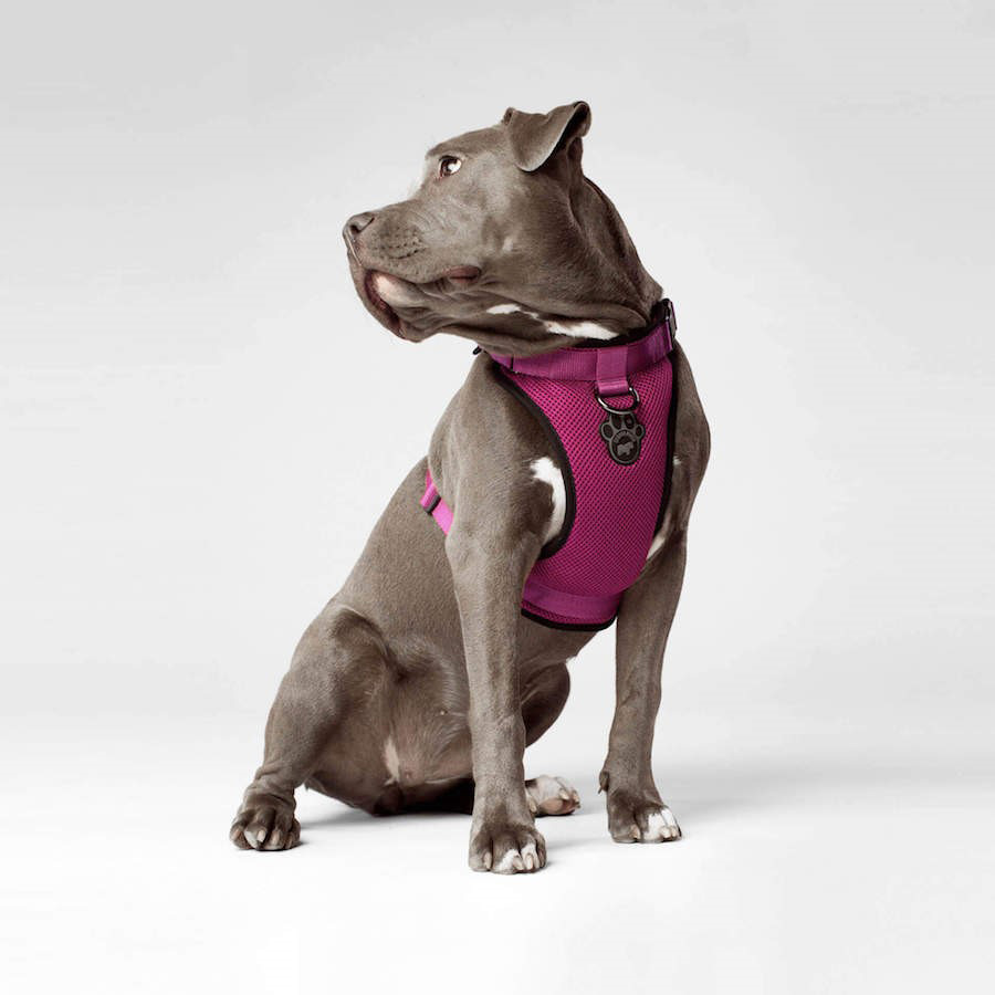 Canada pooch dog harness hotsell