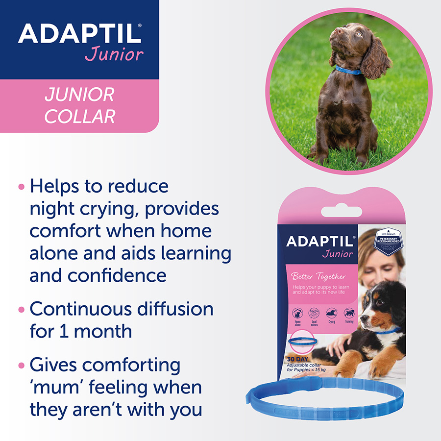 Adaptil puppy collar best sale