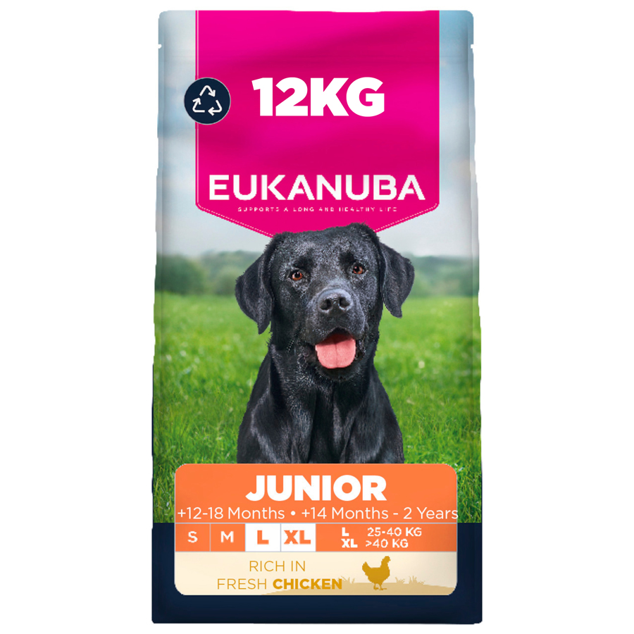 Eukanuba Large Breed Junior Dry Dog Food Chicken