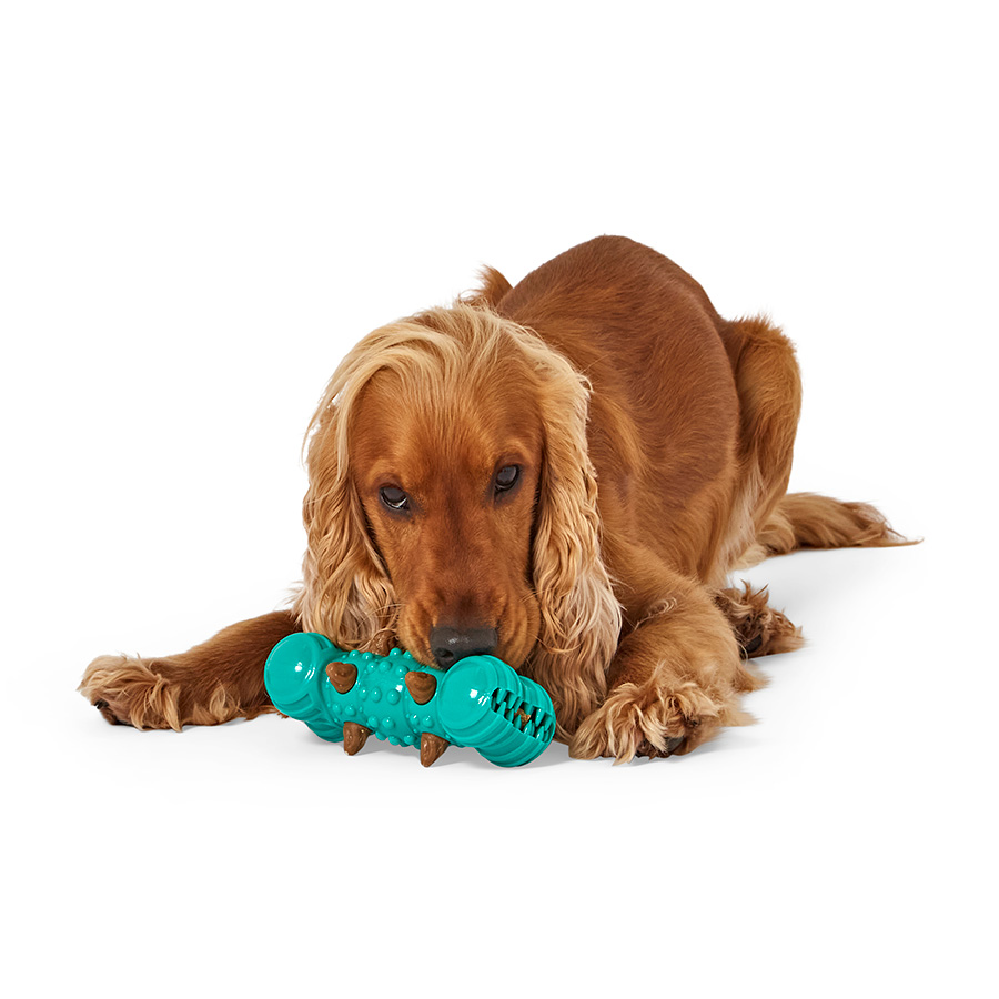 Best dental dog toys best sale