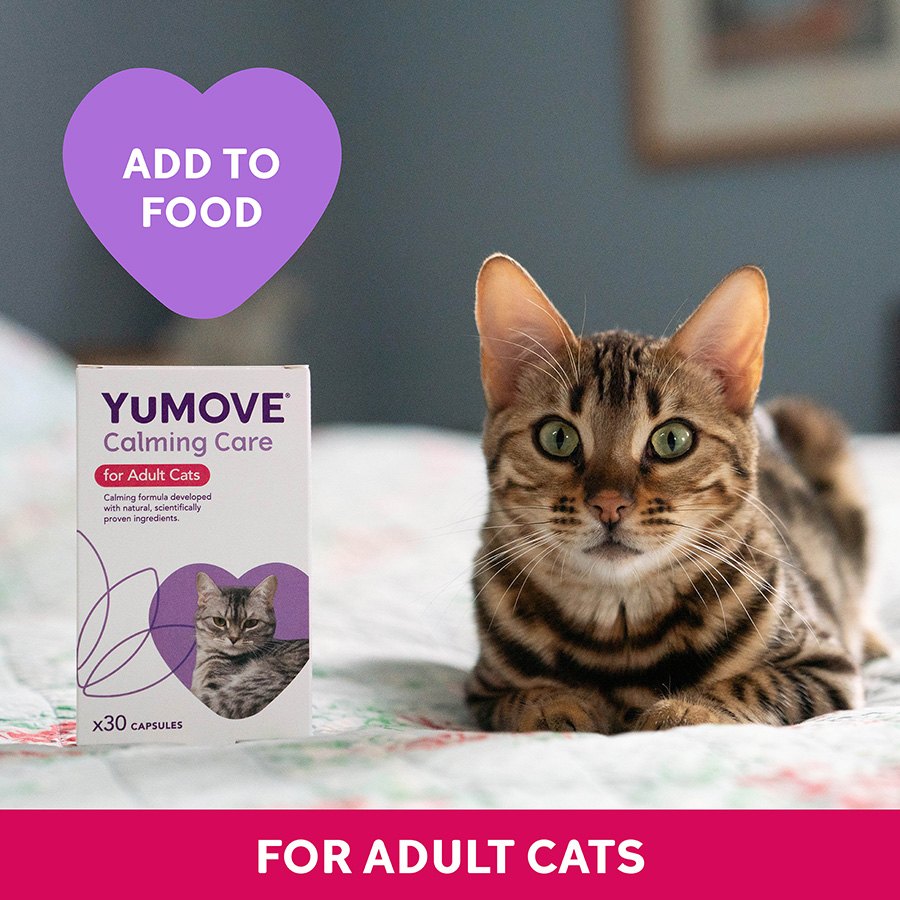 YuMOVE Calming Care Adult Cats Capsules Pets