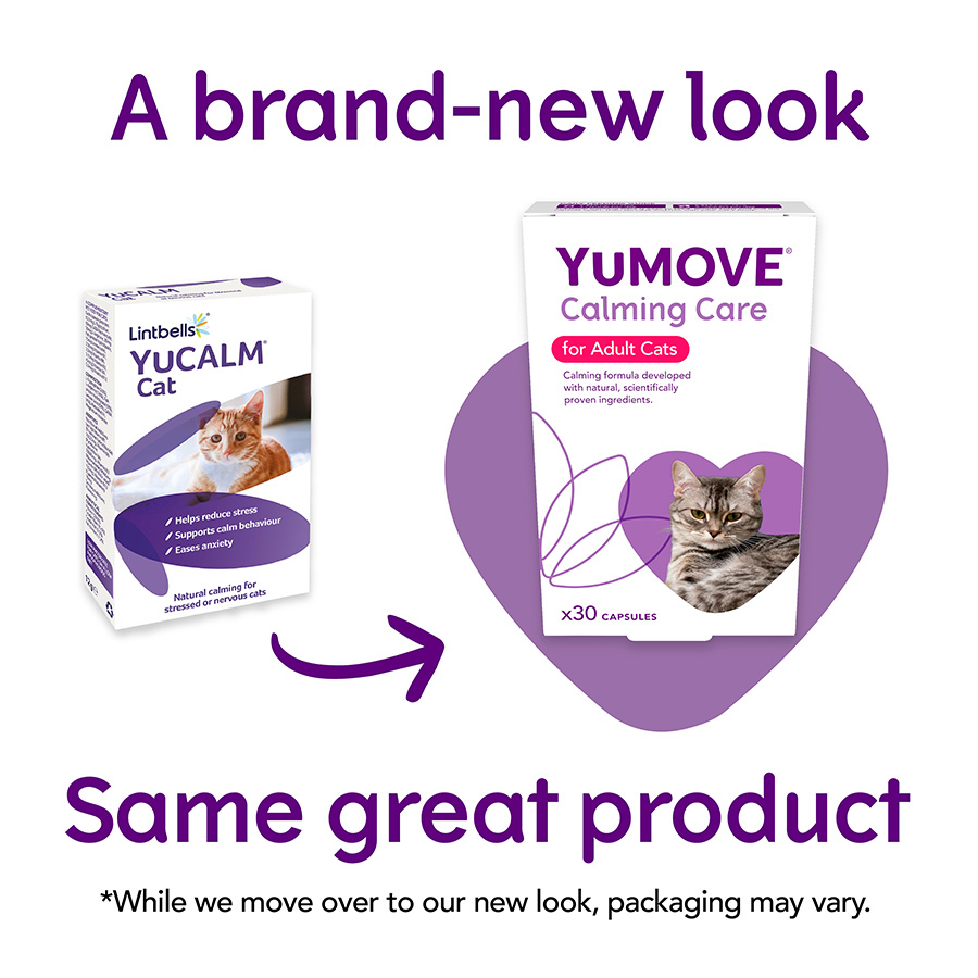 Yumove for cats orders price