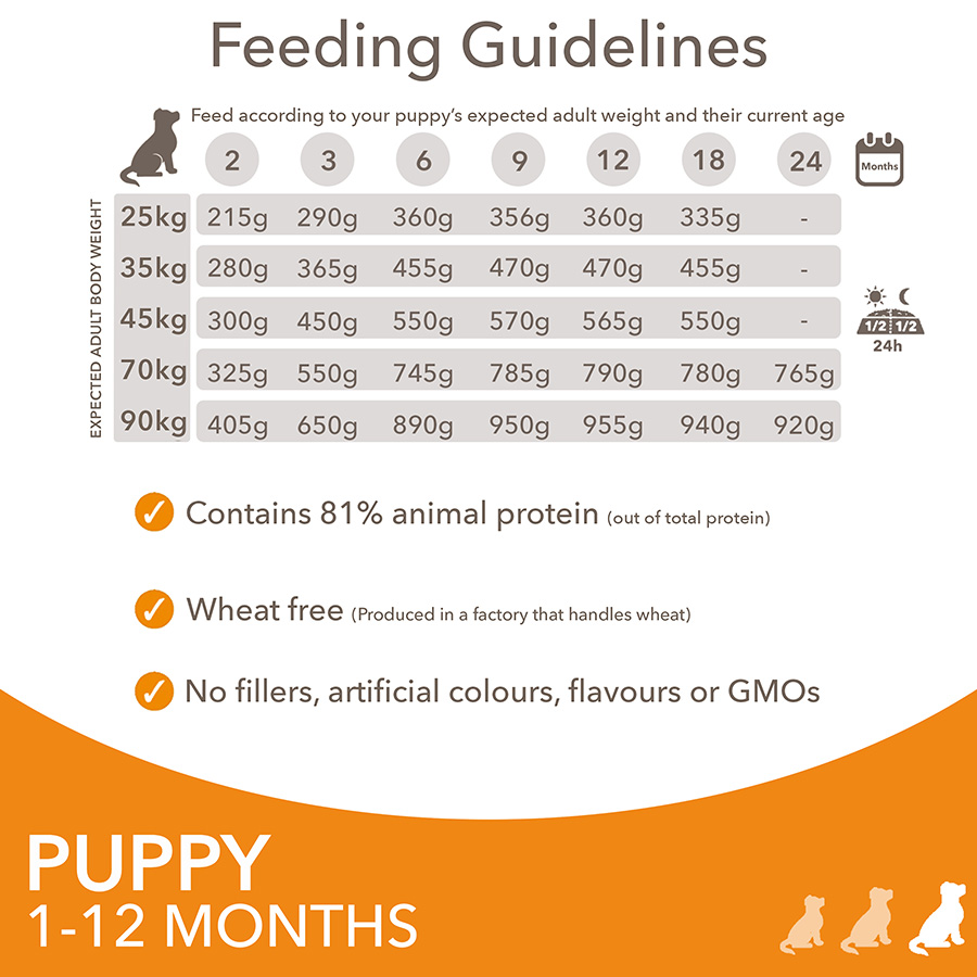 Iams large breed puppy food feeding chart best sale