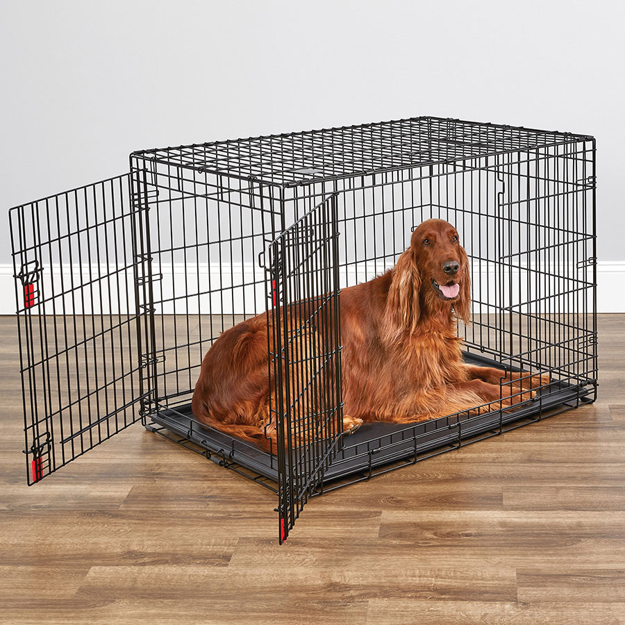 Kong xl dog crate dimensions best sale