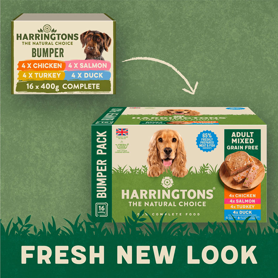 Harringtons grain free wet dog food 400g best sale