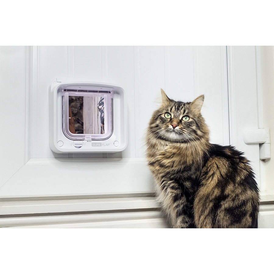 Cat flap with app best sale