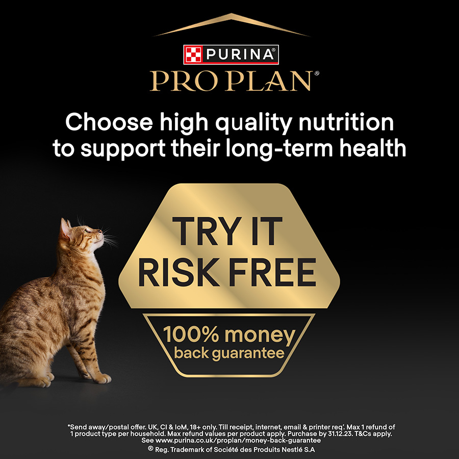 Pro Plan Healthy Start Dry Kitten Food Chicken Pets