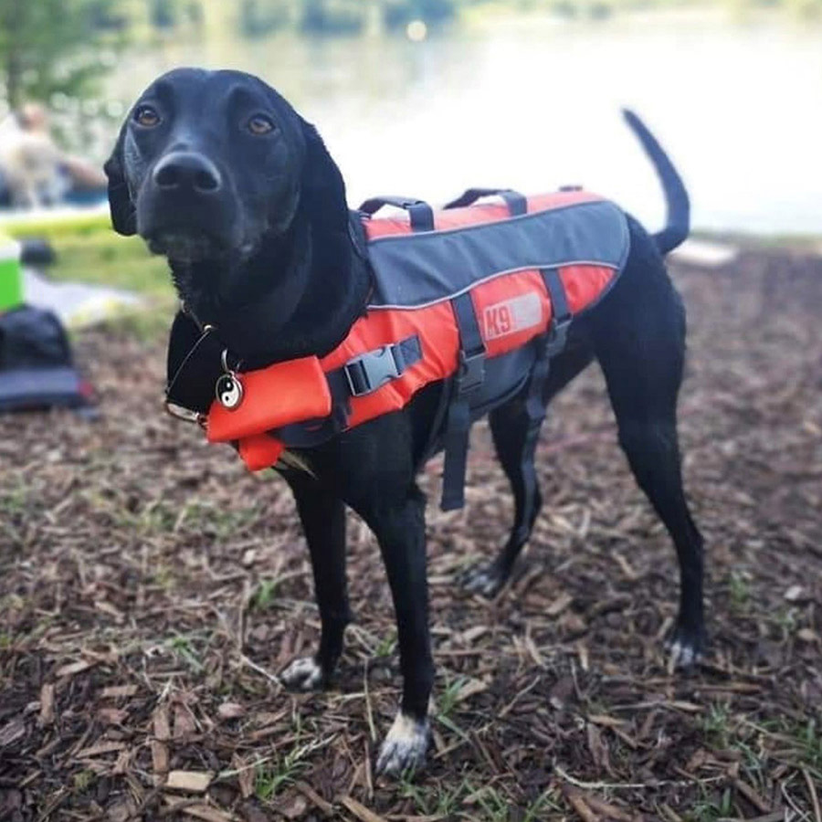 K9 dog life jacket best sale