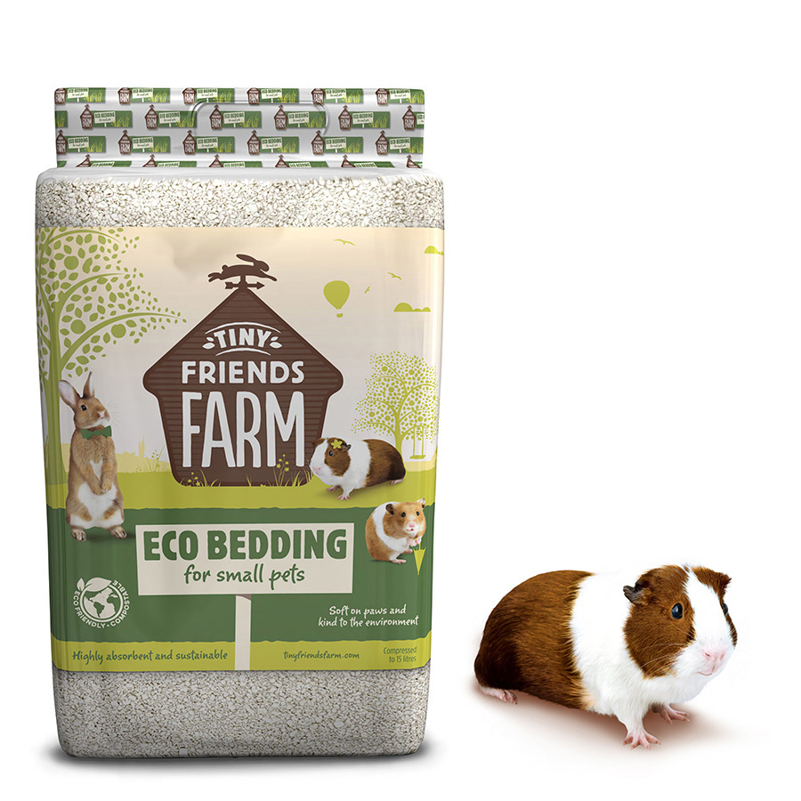 Eco bedding for rats best sale