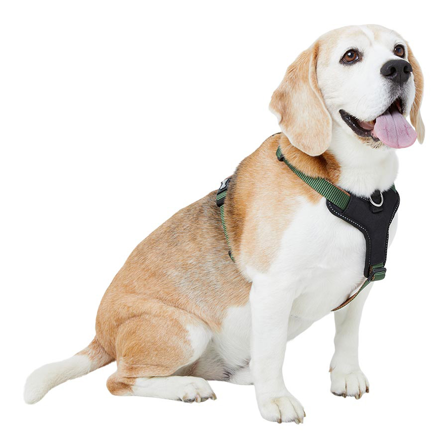 No pull dog harness pets at home hotsell