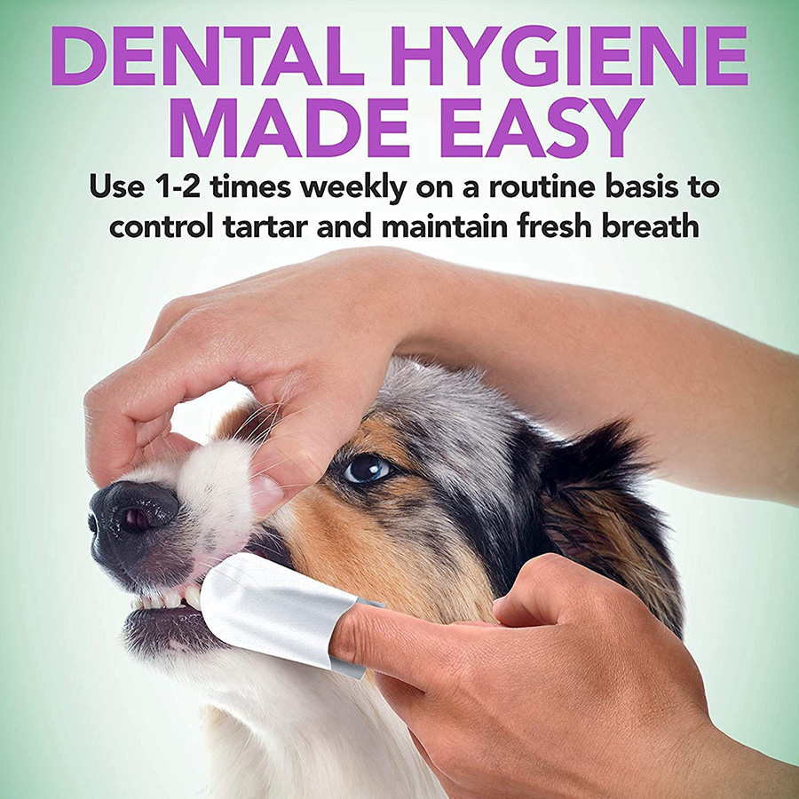 Best dental treatment for dogs best sale