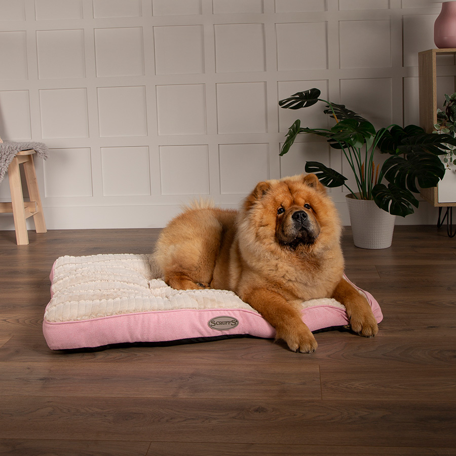 Pink dog beds for large dogs best sale