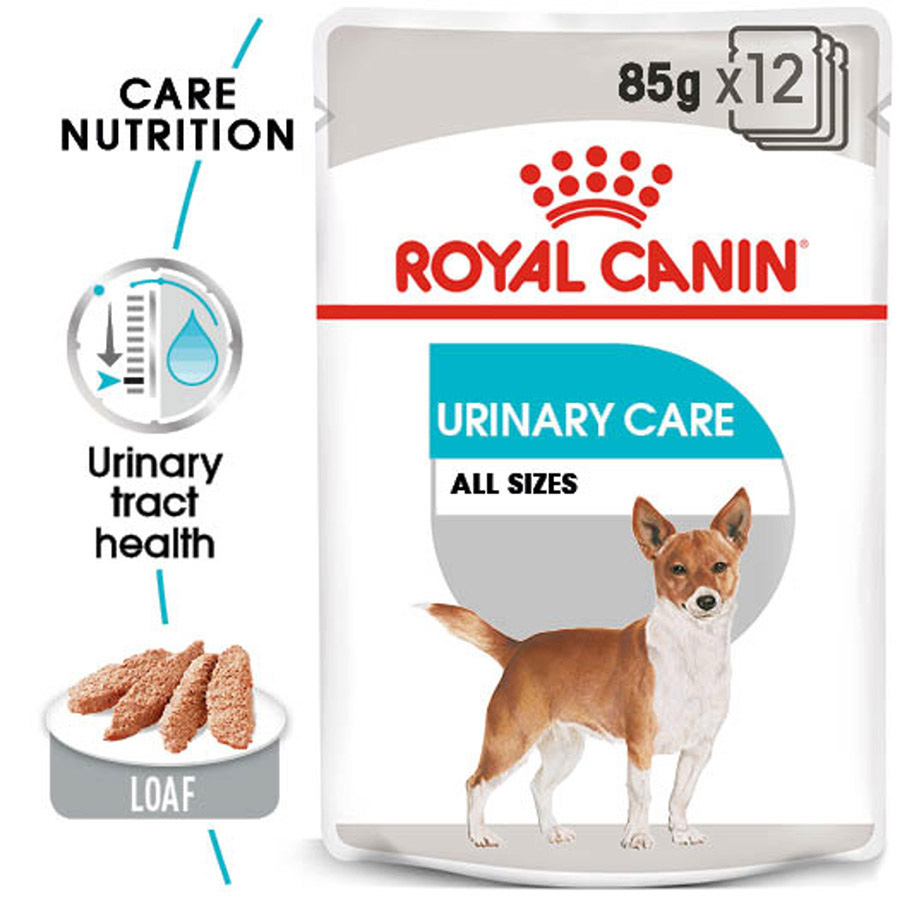 Royal Canin Urinary Care Adult Wet Dog Food Loaf Pets