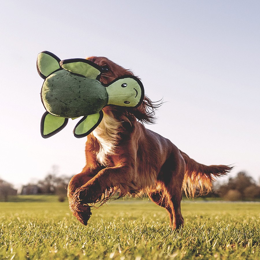Beco Rough Tough Turtle Dog Toy Pets