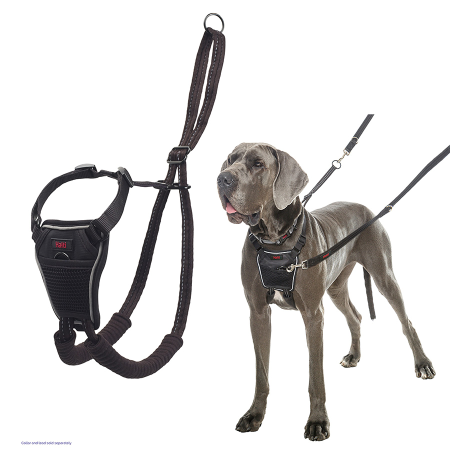 Halti No Pull Dog Harness Black Pets