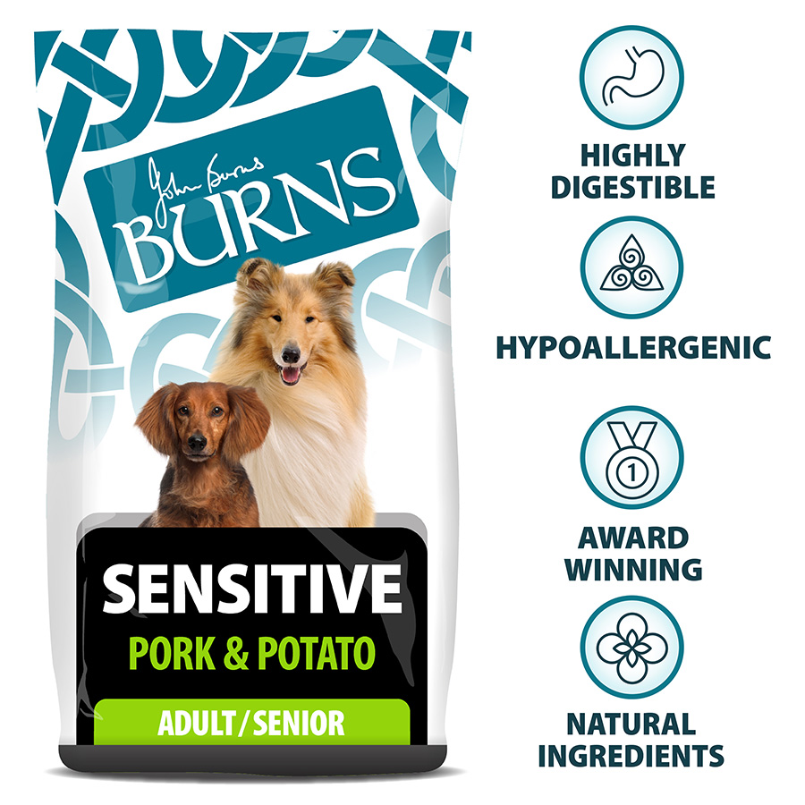 Burns Sensitive Dry Dog Food Pork Potato Pets