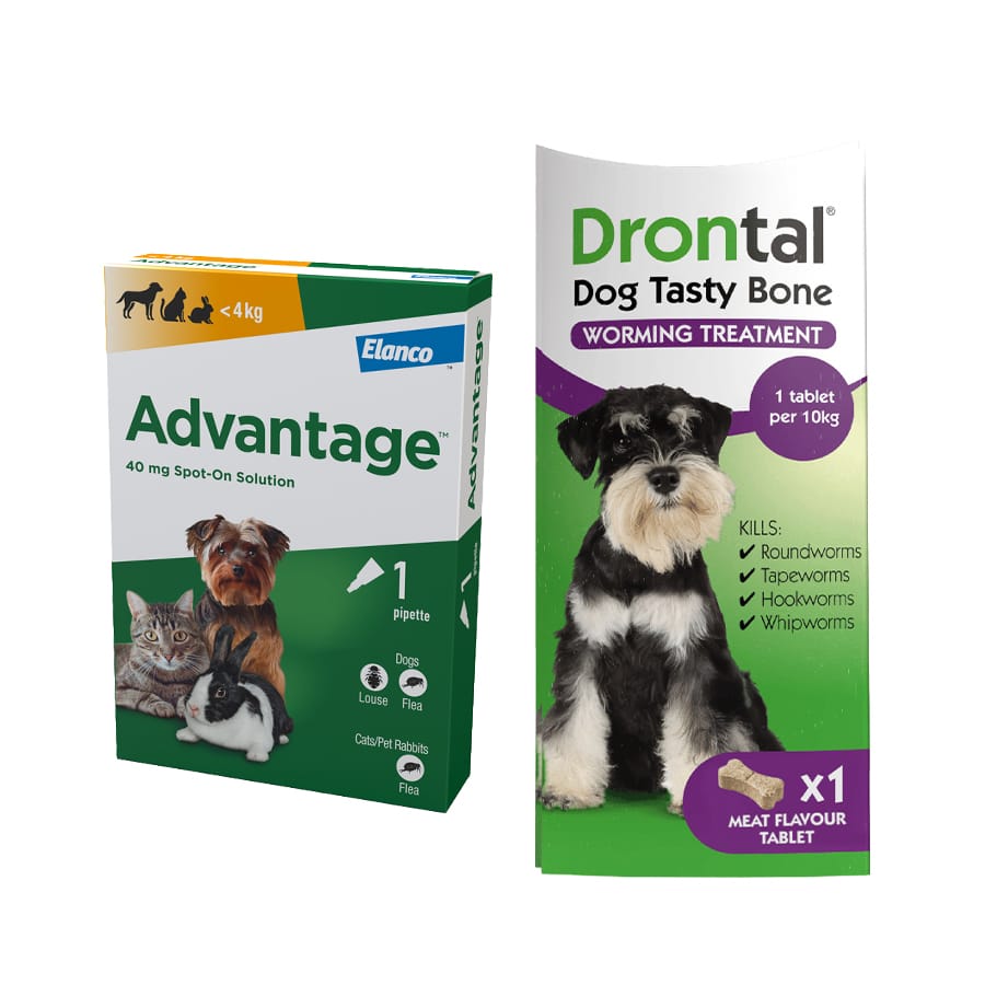Advantage Spot-On Flea With Drontal Worming Treatment For Dogs (2-3.99Kg)