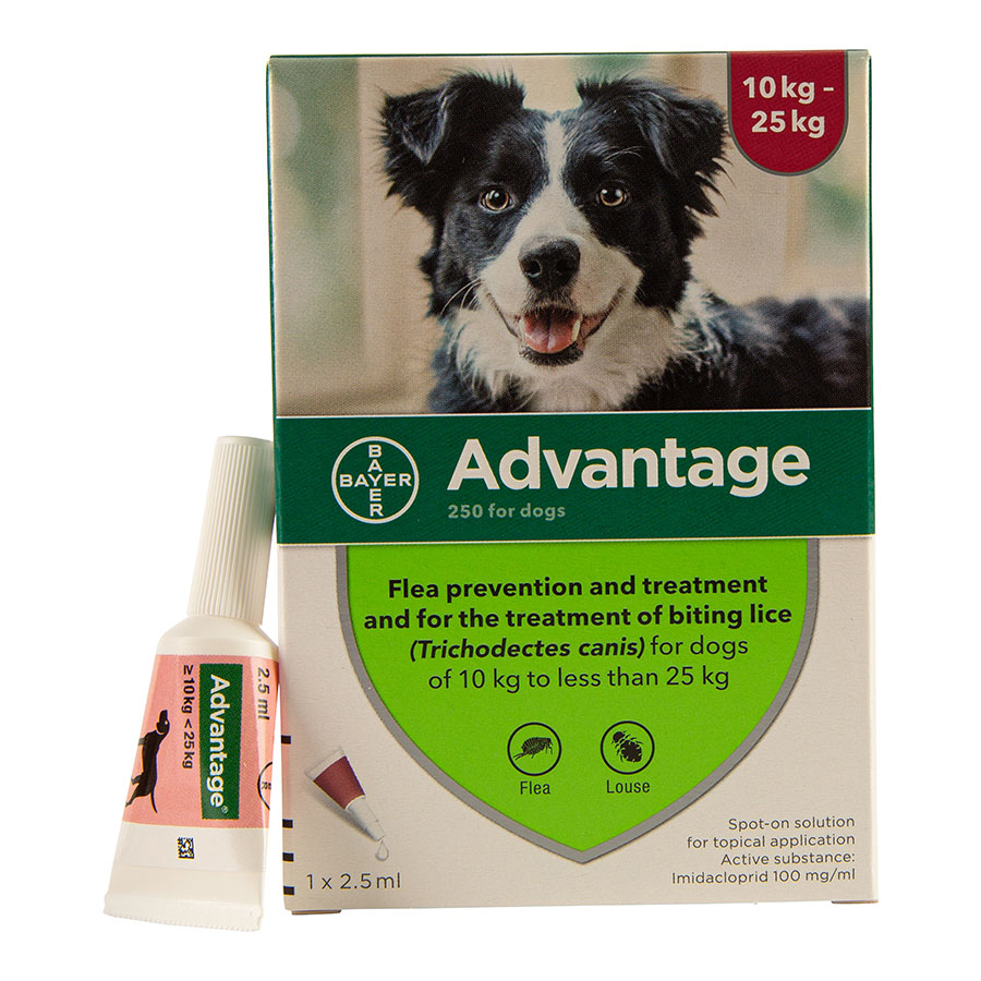 Advantage flea and worm treatment for dogs hotsell