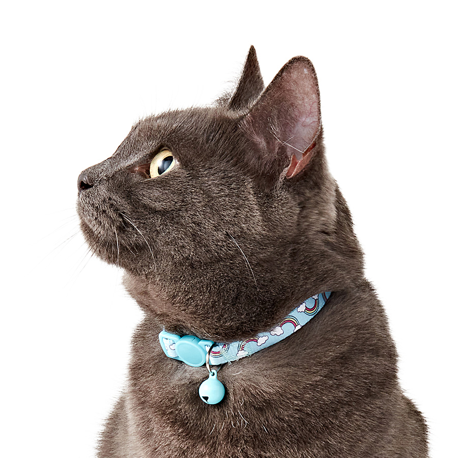 Cat collar price hotsell