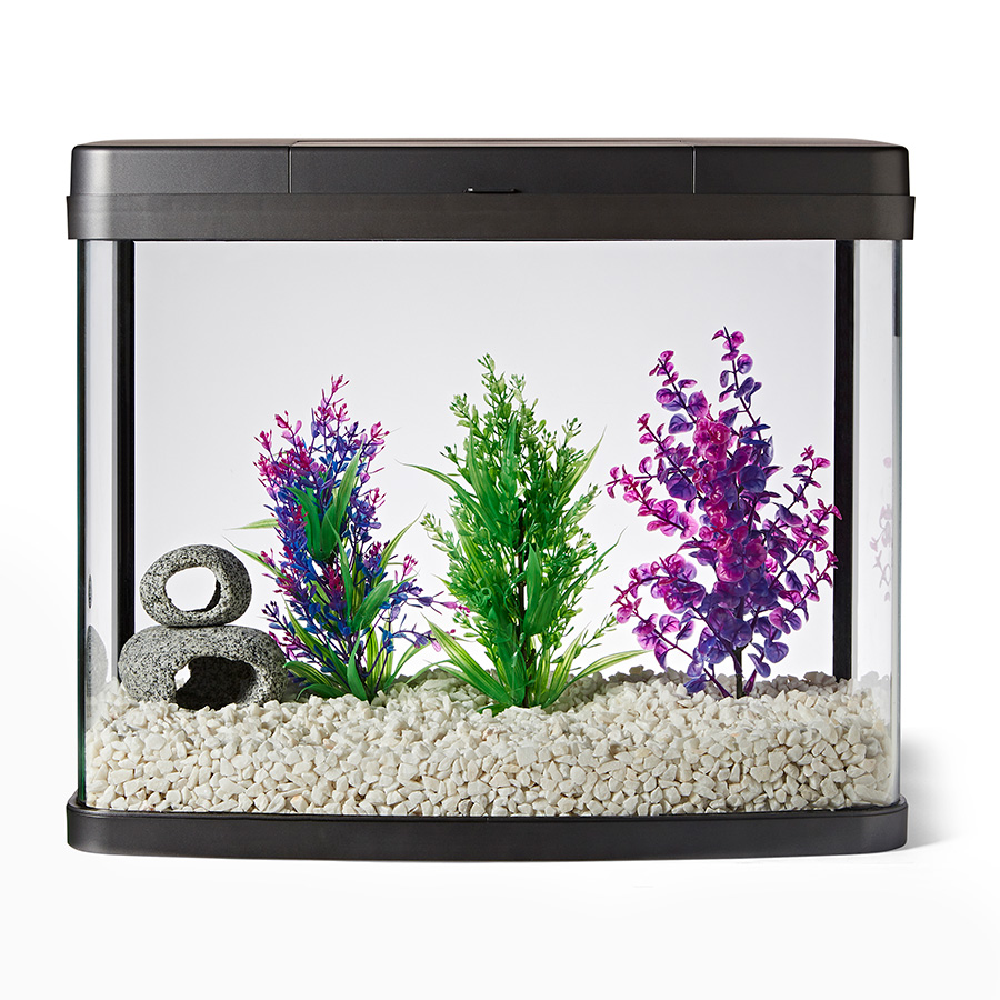 Pets at Home Aquarium Plant Medium Purple Green Pets