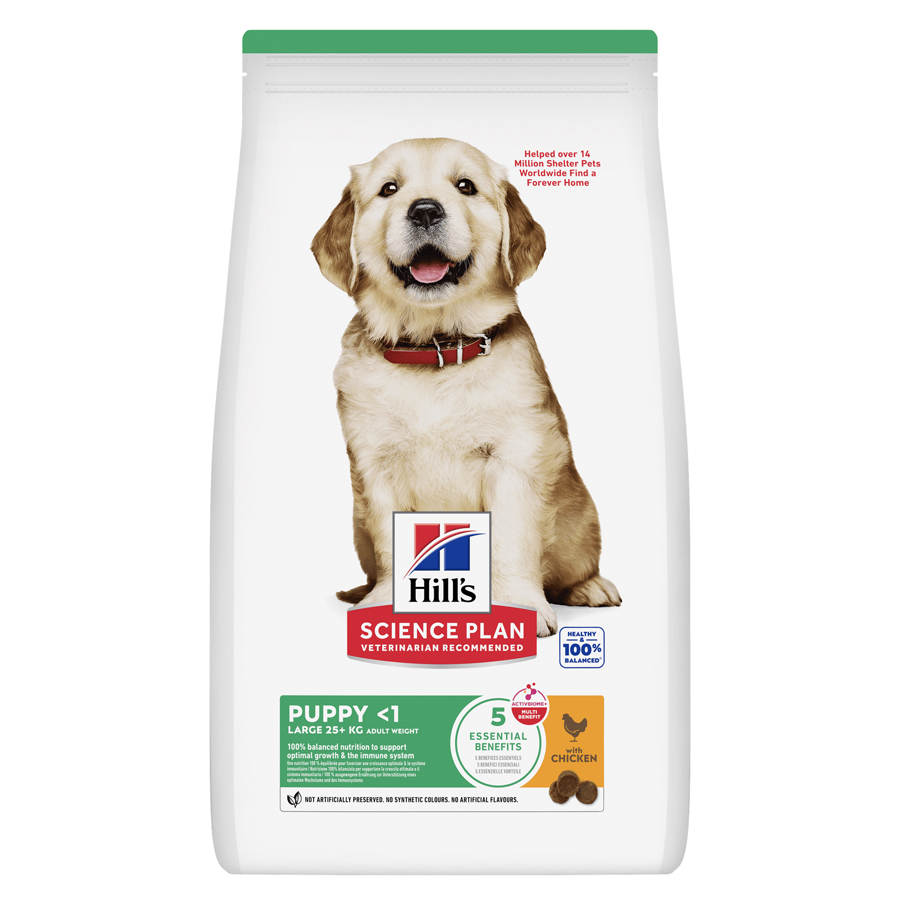 Hill's Science Plan Puppy Large Breed Dry Dog Food with Chicken