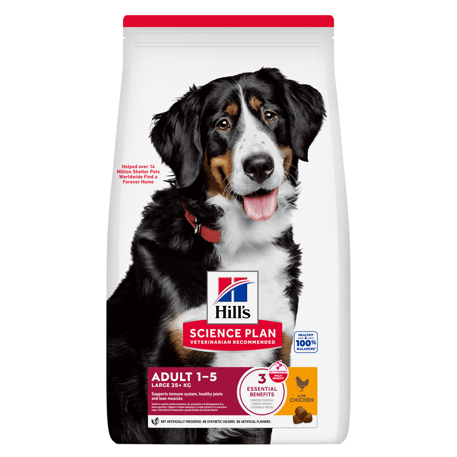 Hill's Science Plan Adult Large Breed Dry Dog Food with Chicken