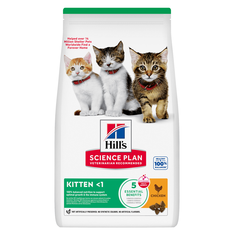 Hill's Science Plan Kitten Dry Cat Food with Chicken