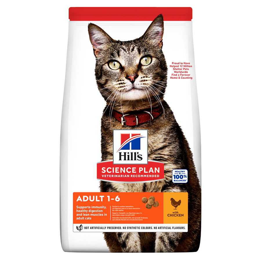 Dry Cat Food Pets