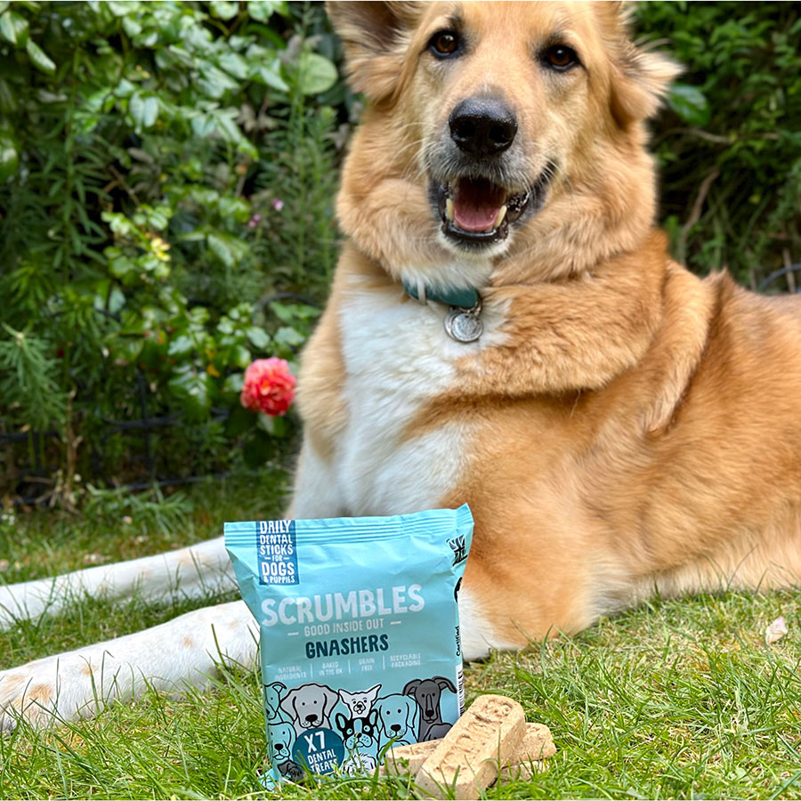 Scrumbles Daily Dental Dog Treats