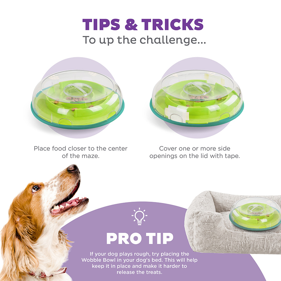 Nina Ottosson Wobble Bowl Dog Game | Pets