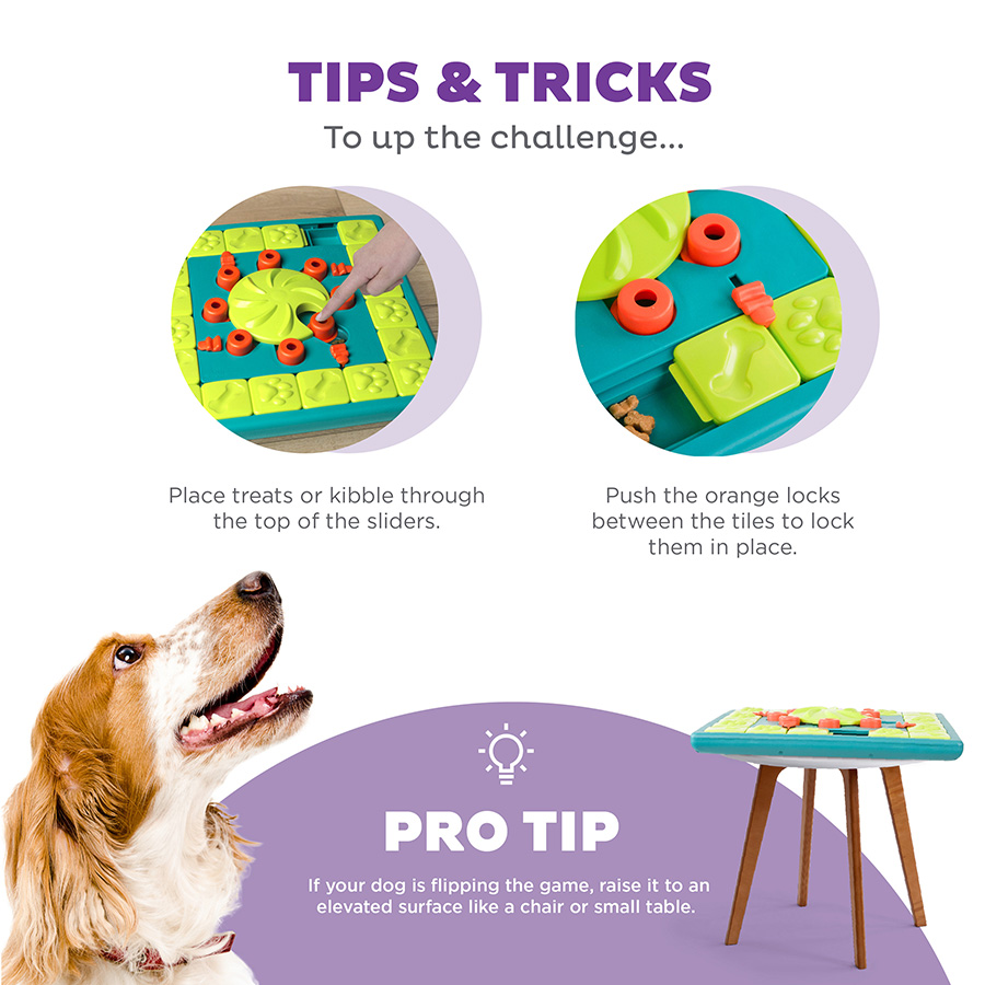 Nina Ottosson Interactive Dog Treat Puzzle Toy Expert Level