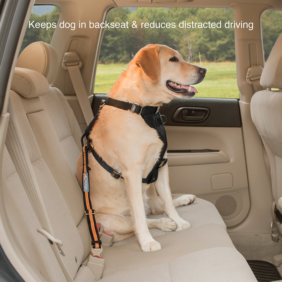 Pets at home fashion seat belt