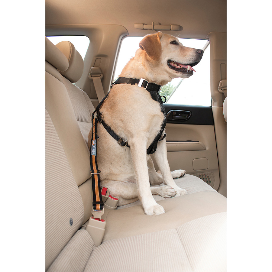 Pets at home fashion seat belt