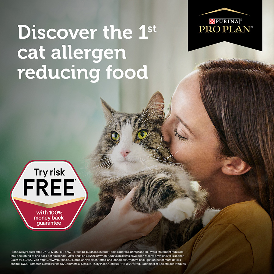 Purina cat allergy food best sale