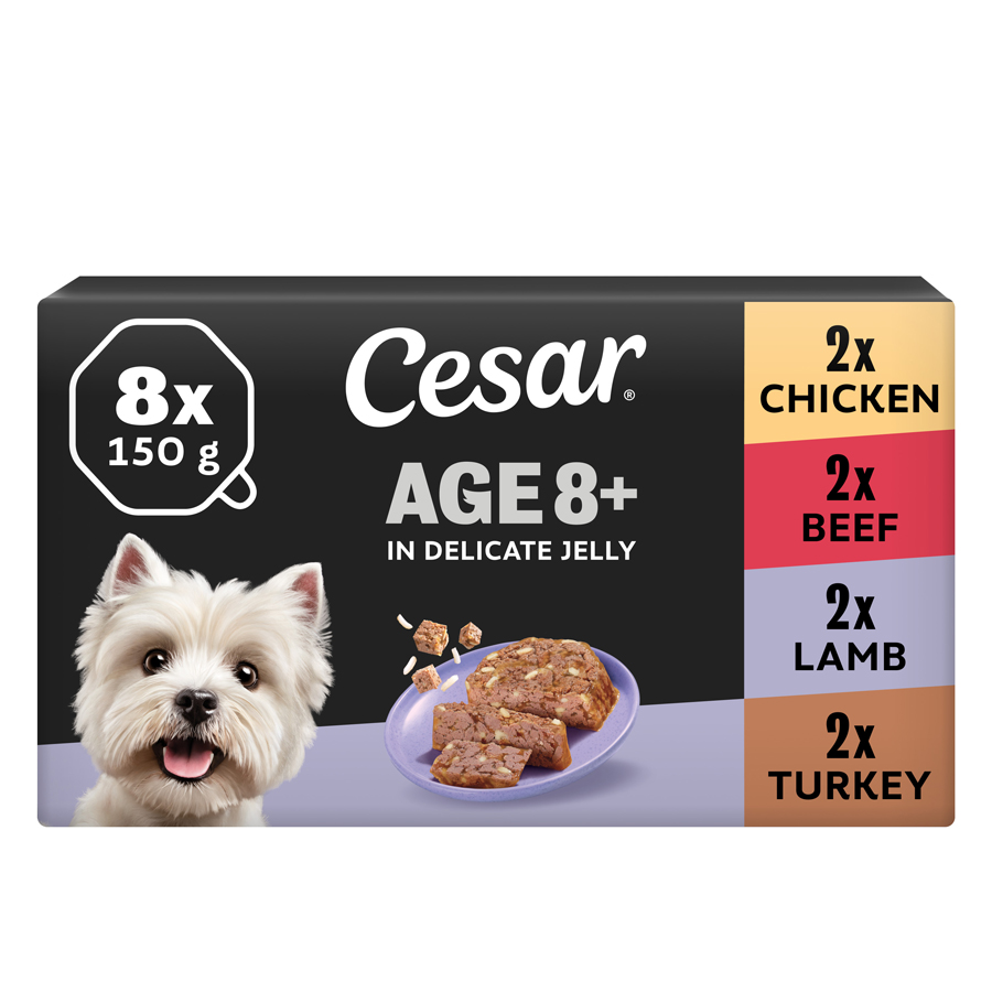 Cesar Senior 8+ Wet Dog Food In Jelly