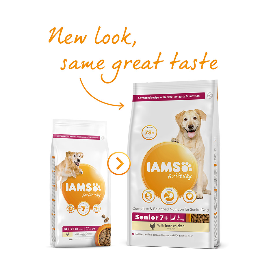 Iams Proactive Health Dog Food Review Dry