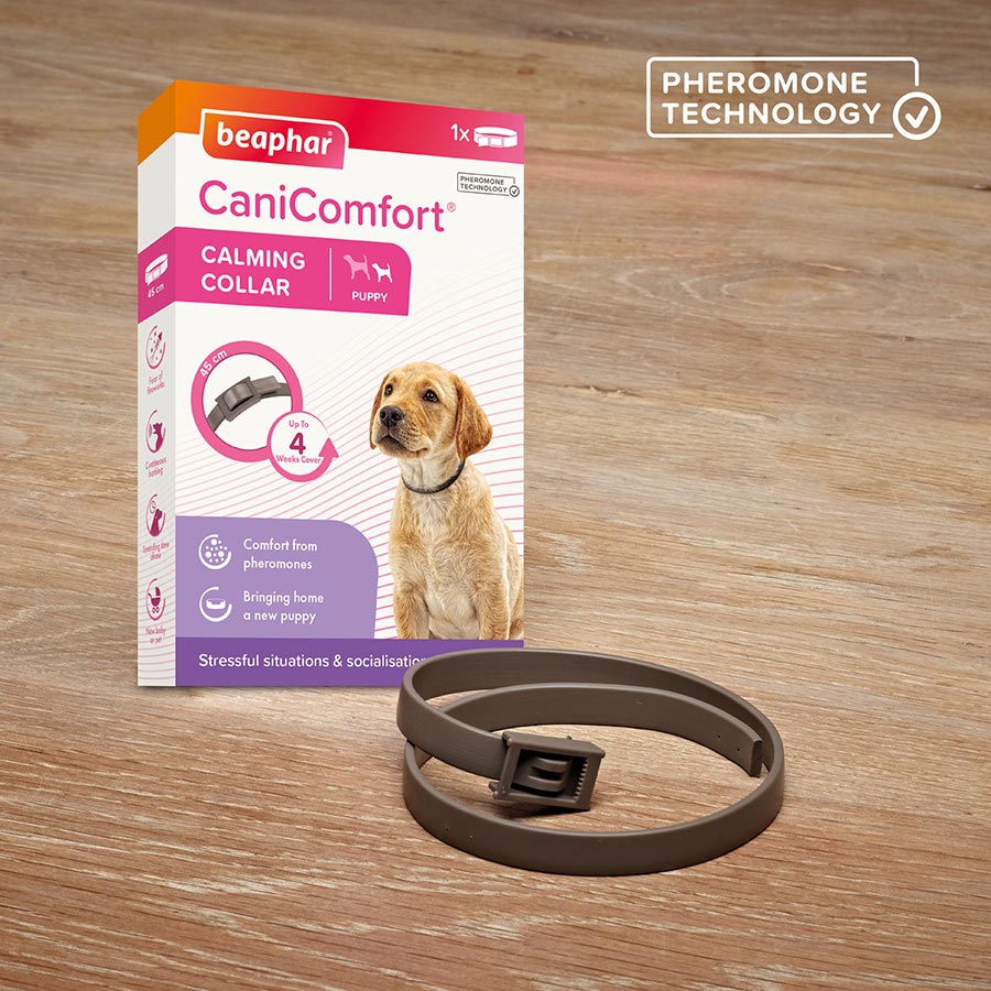 Calming puppy collar best sale