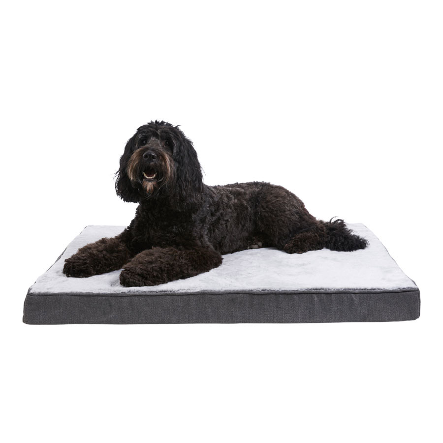 Dog ate bed foam best sale