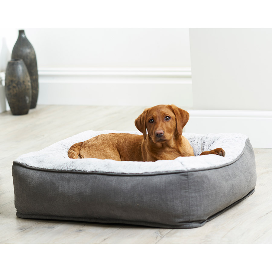 Grey dog bed pets at home hotsell