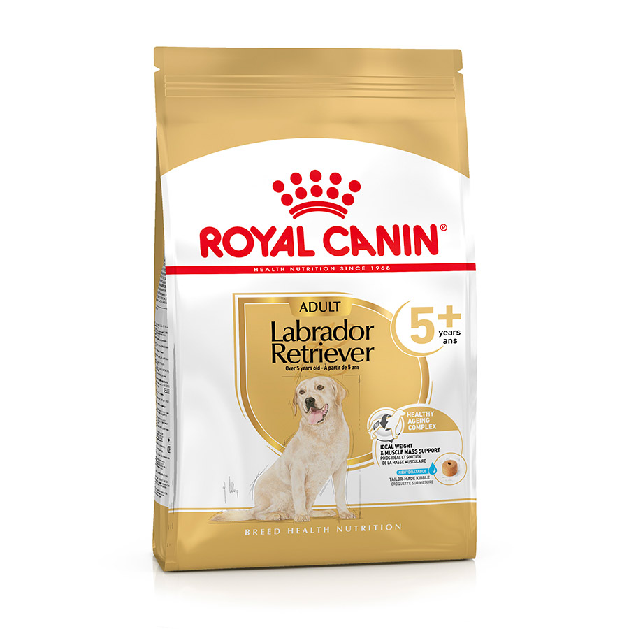 Royal Canin Labrador Retriever 5 Dry Dog Food Pets