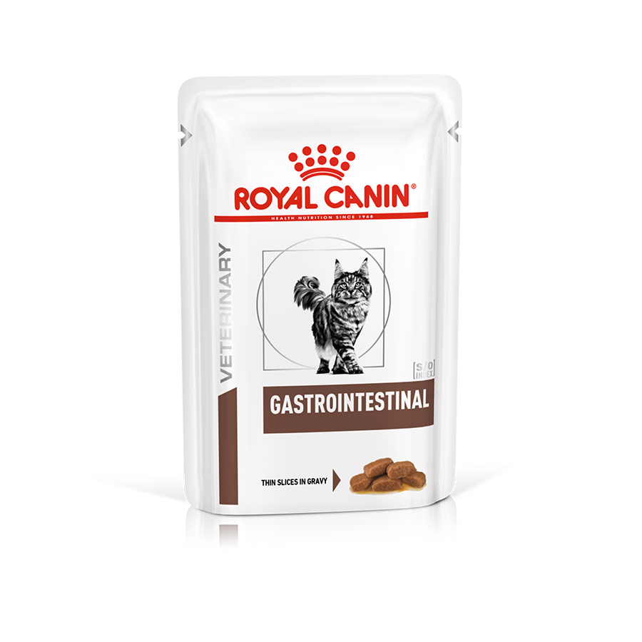 Gastrointestinal royal canin wet dog deals food