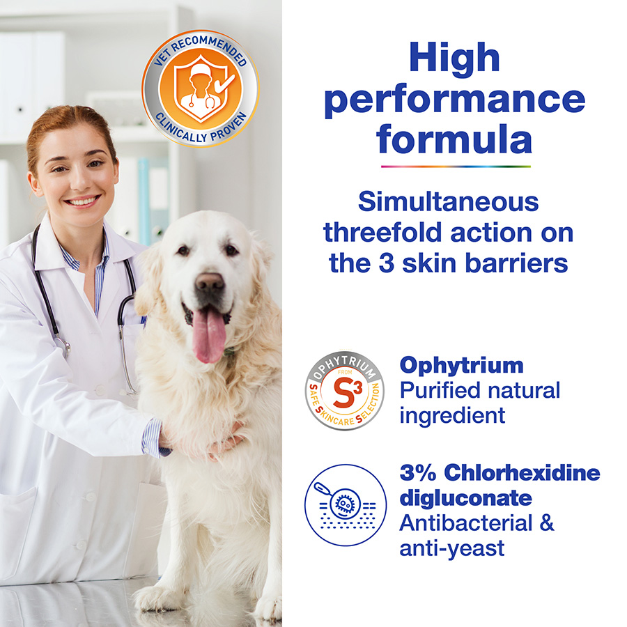 Chlorhexidine mousse dogs best sale