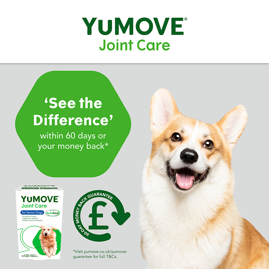 Cheapest yumove dog tablets best sale