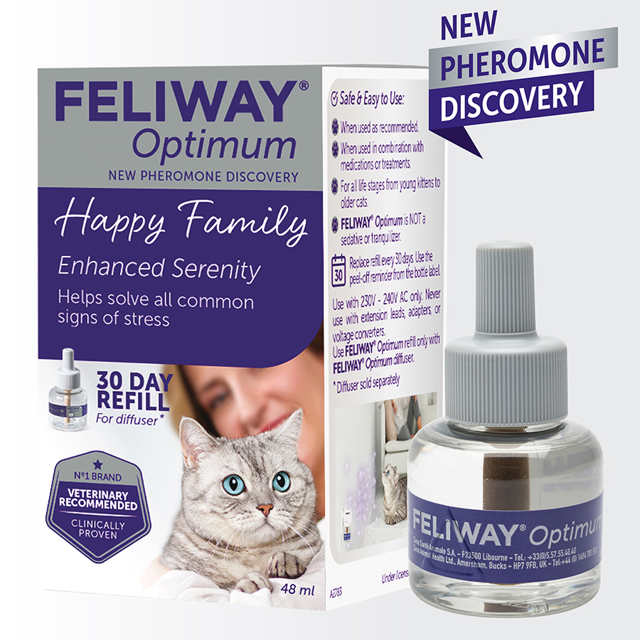 Cat calming products best sale