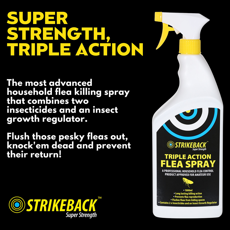 Extra strength flea treatment best sale