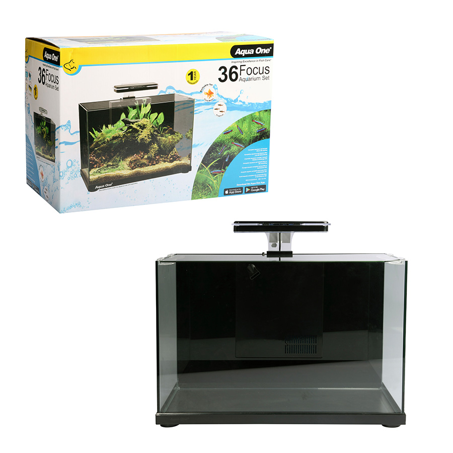 Fish tanks for sale pets at home best sale