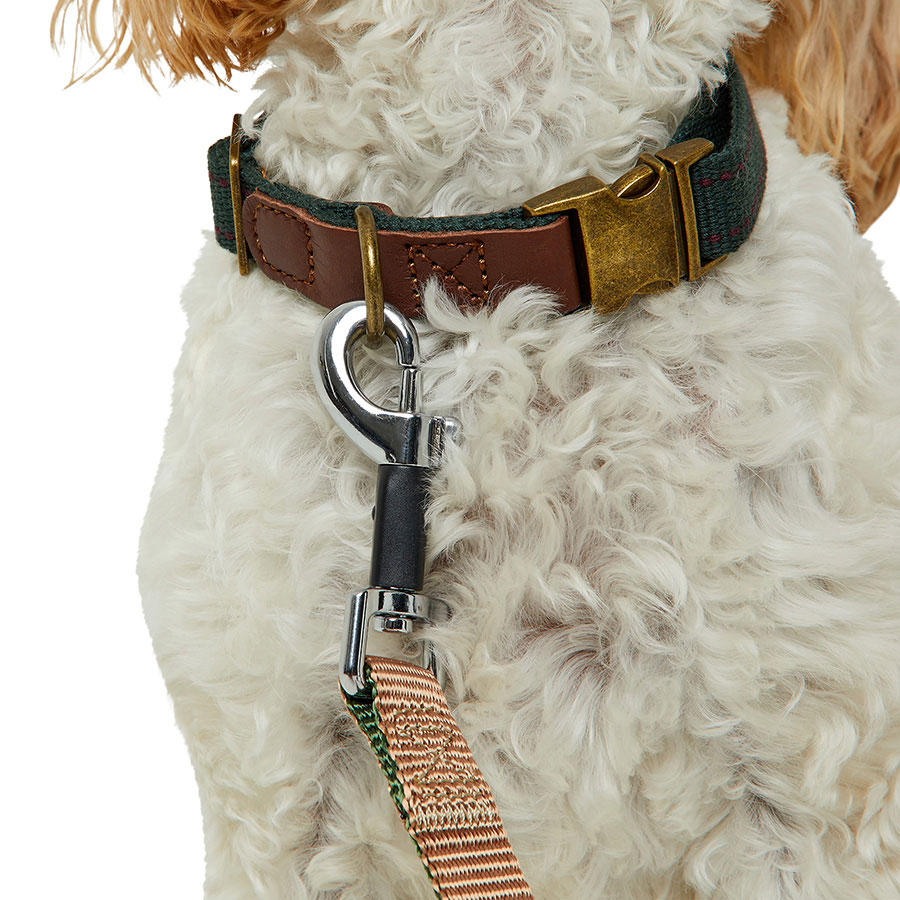 Dog leads pets at home fashion