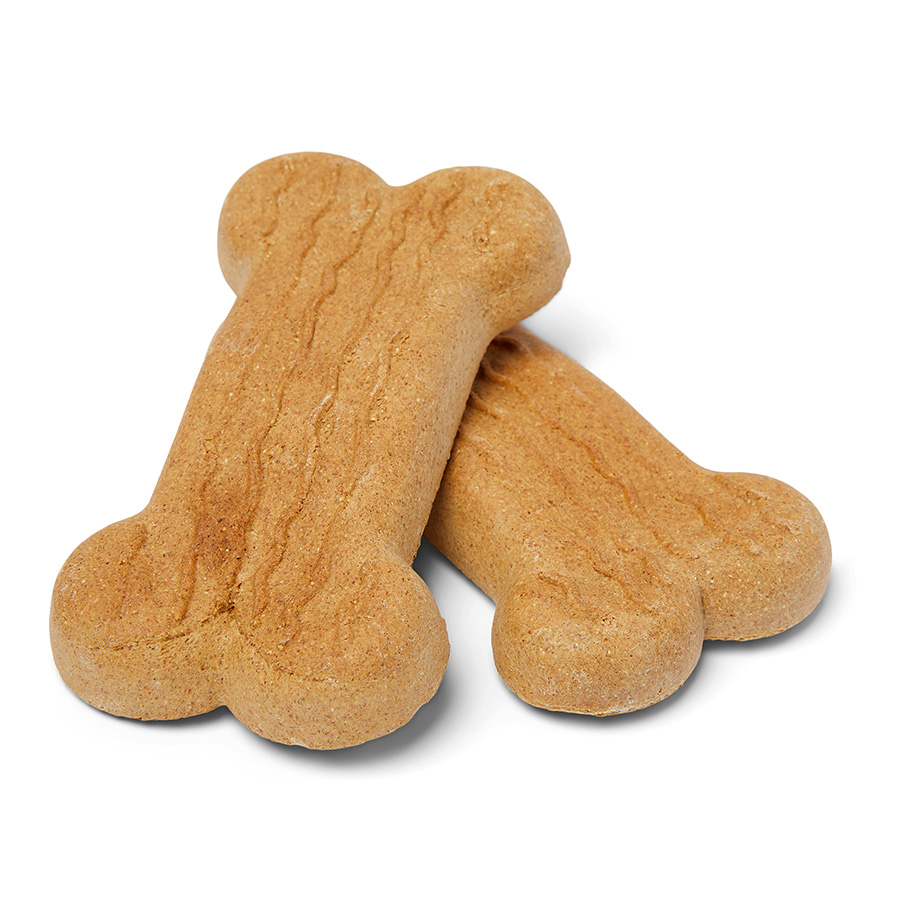 Biscuit dog best sale