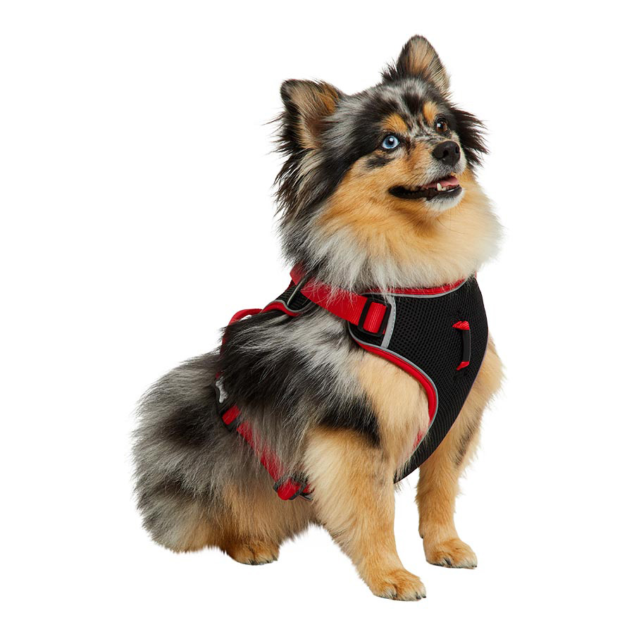 Pets at Home Padded Dog Harness Red