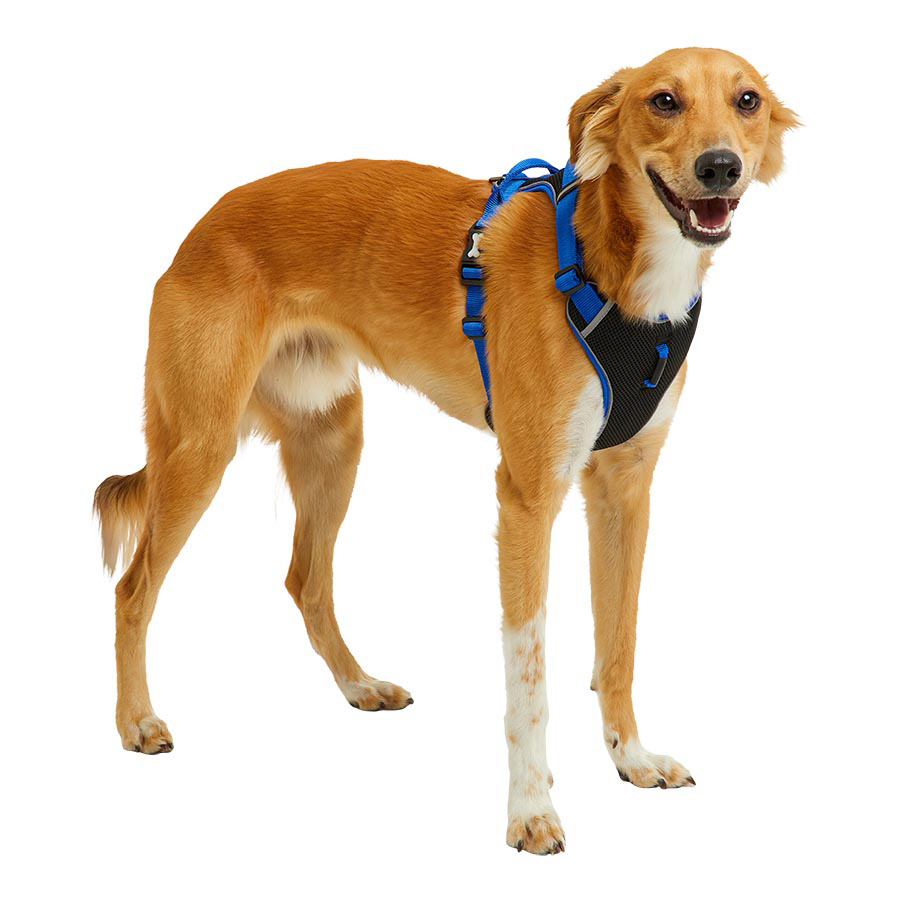 Pets at Home Padded Dog Harness Blue Pets